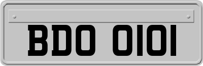 BDO0101