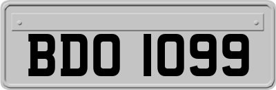BDO1099