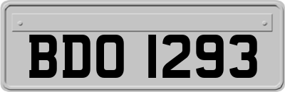 BDO1293