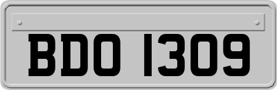 BDO1309