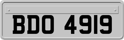 BDO4919