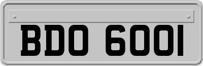 BDO6001