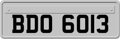 BDO6013