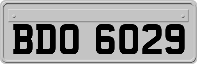 BDO6029