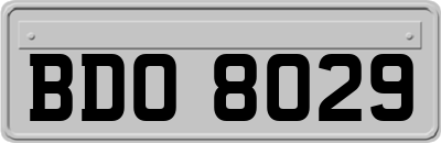 BDO8029