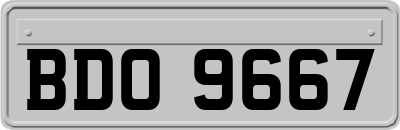 BDO9667
