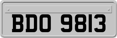 BDO9813