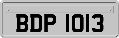BDP1013