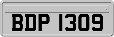 BDP1309