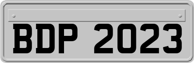 BDP2023