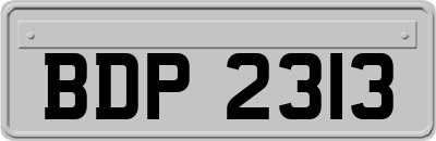 BDP2313