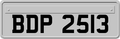 BDP2513