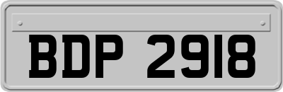 BDP2918