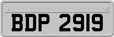BDP2919