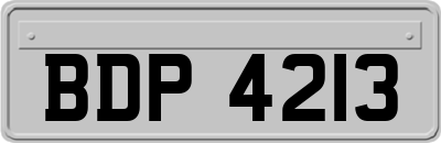 BDP4213