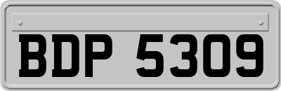 BDP5309