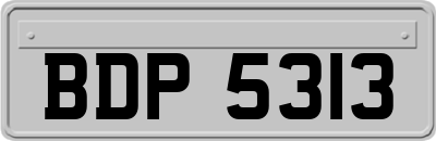 BDP5313