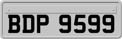 BDP9599