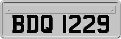 BDQ1229