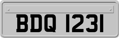 BDQ1231