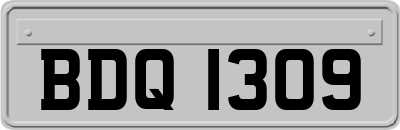 BDQ1309