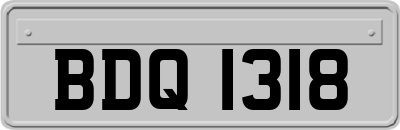 BDQ1318