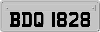 BDQ1828