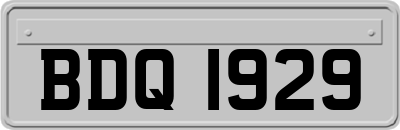 BDQ1929