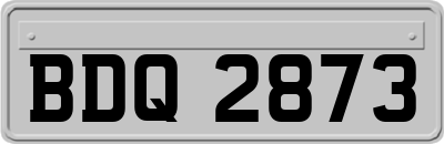 BDQ2873