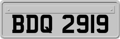 BDQ2919