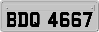 BDQ4667