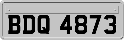 BDQ4873