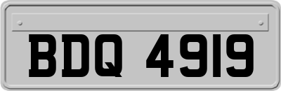 BDQ4919