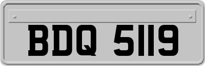 BDQ5119