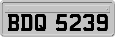 BDQ5239