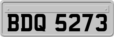 BDQ5273