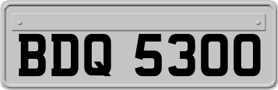 BDQ5300