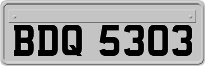 BDQ5303