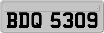 BDQ5309