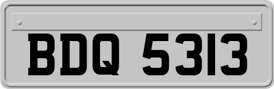 BDQ5313