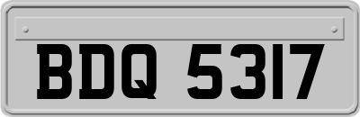 BDQ5317