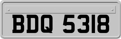 BDQ5318