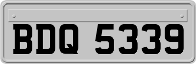 BDQ5339