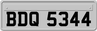 BDQ5344