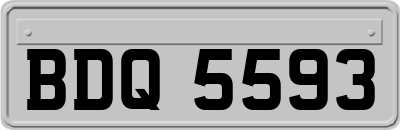 BDQ5593