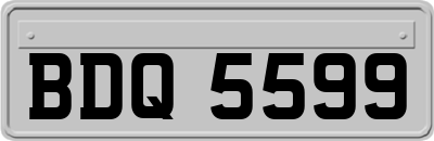 BDQ5599