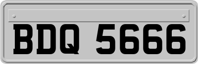 BDQ5666