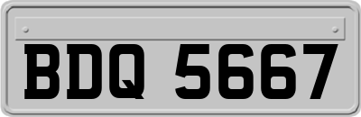 BDQ5667