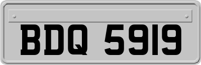 BDQ5919