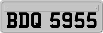 BDQ5955